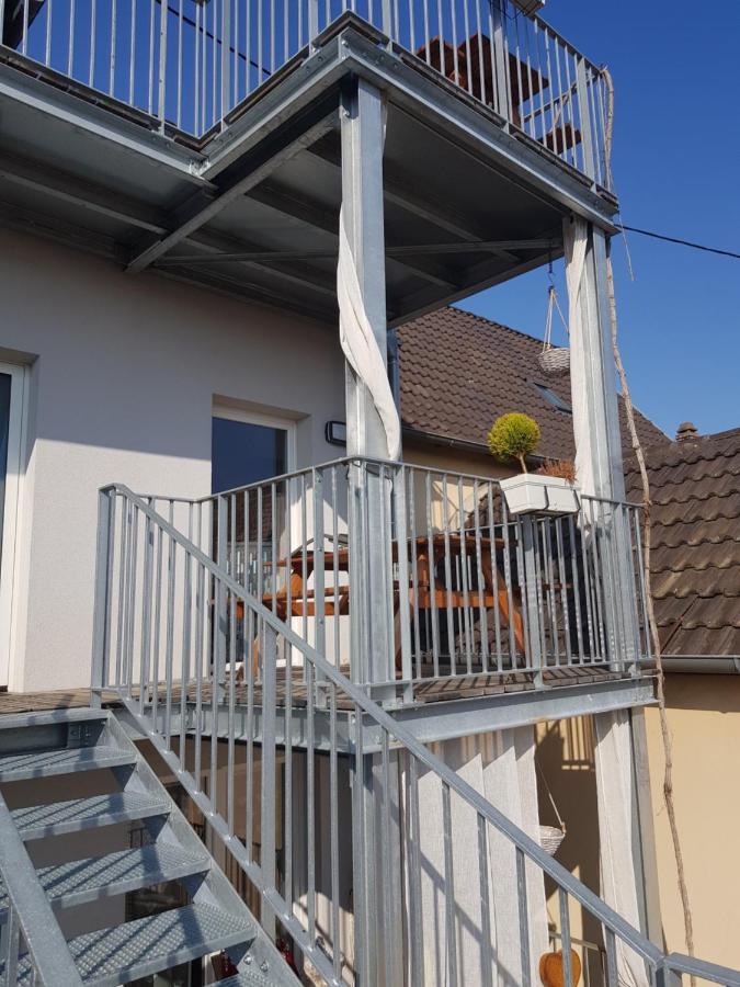 Appartamento Au Gré de L'ill 'Les Cigognes' Horbourg Esterno foto