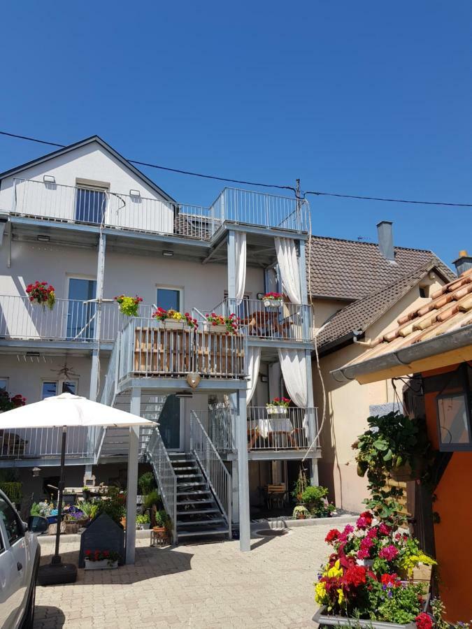 Appartamento Au Gré de L'ill 'Les Cigognes' Horbourg Esterno foto